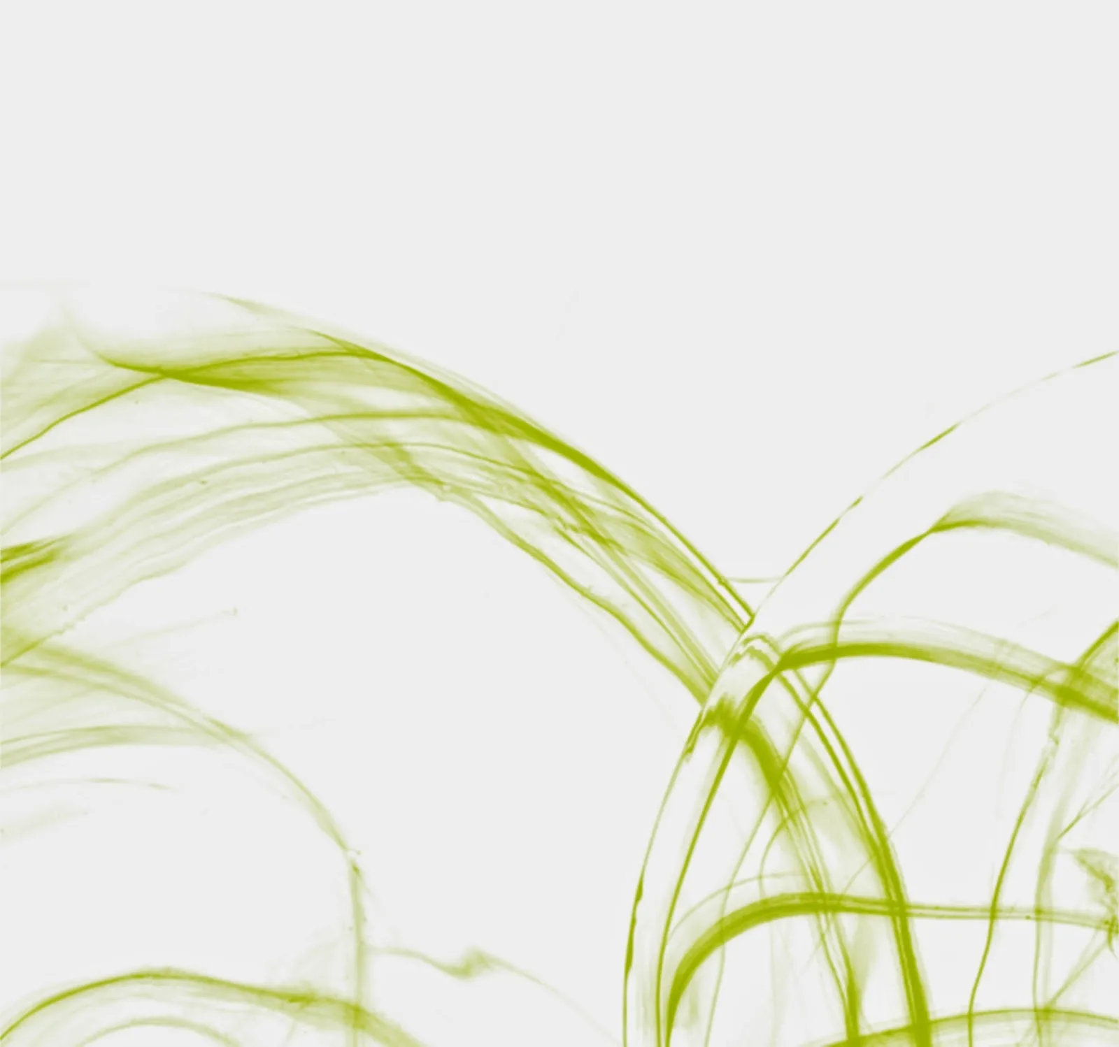 Clinica estetica Carolina Orús. Centro de Estética. en Barcelona