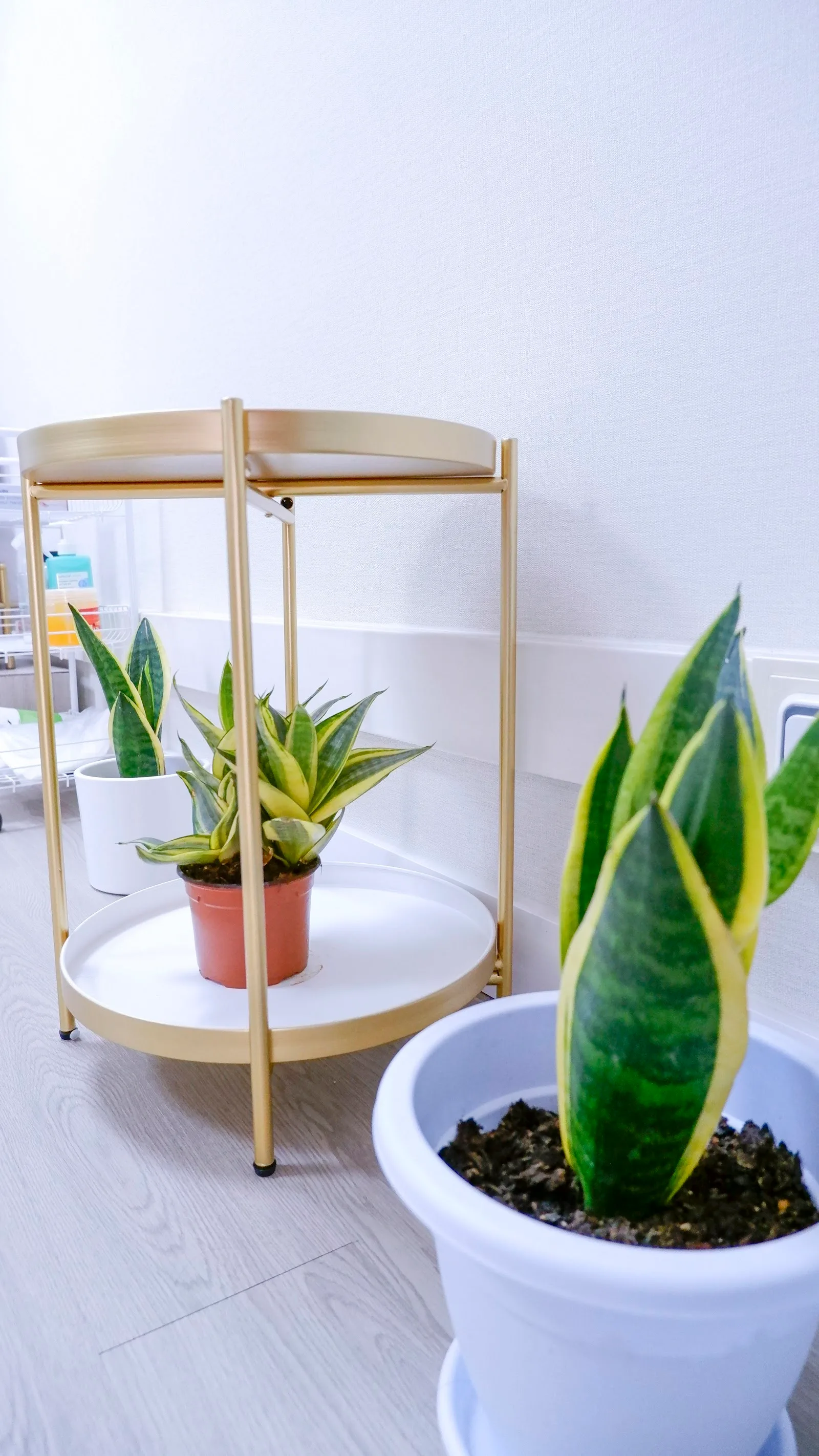 Clinica estetica Estética Kvinna Bcn en Barcelona