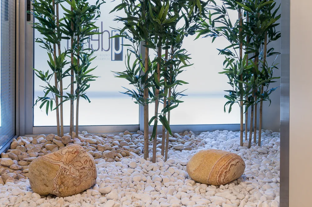 Clinica estetica Qderm Cirugía Plástica Y Dermatologia S L en Barcelona